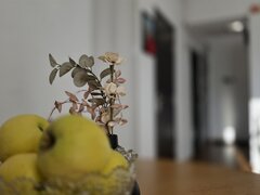 Parcul Teilor Apartament 3 camere bloc 2018 73 MP Postasului